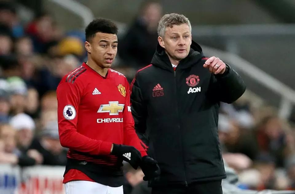 广泛的应用领域